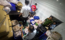 Buộc tiêu hủy 744 kg thịt, cá đông lạnh không rõ nguồn gốc ở phường Bến Cát, TP.HCM