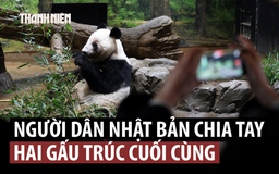 Người Nhật bịn rịn tạm biệt gấu trúc: 'Hít thở cùng bầu không khí' cũng vui