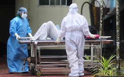 Viện nghiên cứu Vũ Hán: Trung Quốc có thuốc có thể ngăn chặn virus Nipah lây lan