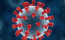 Theo dõi các biến thể Covid-19