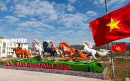 Dàn linh vật ngựa tái hiện bức 'mã đáo thành công' ở Quảng Trị