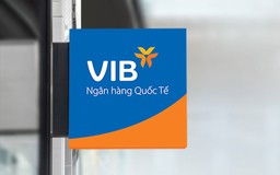 VIB: Lãi 2025 vượt 9.100 tỉ, hoàn tất xây nền tảng, bước vào nhịp tăng trưởng mới