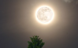 Siêu trăng sói vừa xuất hiện cực hiếm trong 113 năm: 2026 có tới 8 siêu trăng!