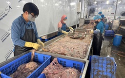 Công an Hà Nội thu hơn 60 tấn lòng lợn bẩn tại Công ty Dũng Phát