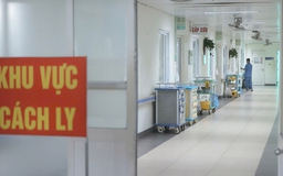 Ngừa lây nhiễm vi rút Nipah từ động vật, thực phẩm ô nhiễm