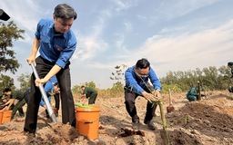 Trồng hơn 11.000 cây tre ở khu vực biên giới Đồng Nai