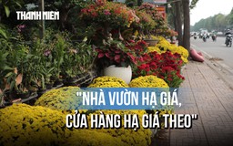 Hoa tết về sớm trên đường Phạm Văn Đồng, tiểu thương đẩy mạnh bán cúc mâm xôi