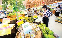 Saigon Co.op khẳng định vai trò trụ cột của bán lẻ nội địa