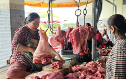 Giá heo hơi hôm nay 5.1.2026: Hạ nhiệt đồng loạt