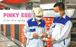 Mebi Group - Hành trình từ chuẩn mực đến hệ sinh thái nông nghiệp bền vững