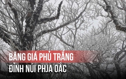 Không khí lạnh cường độ mạnh ở Cao Bằng: Đỉnh núi Phja Oắc phủ băng giá