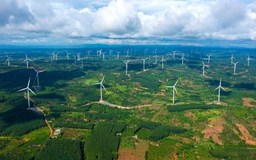 Trung Nam Group đầu tư 8 tỉ USD cho điện tái tạo, điện khí đến 2030