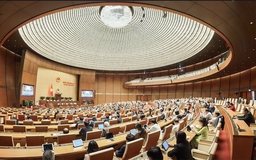 Khơi thông điểm nghẽn thể chế