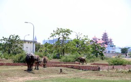 Hết thời bất động sản 'treo đầu dê, bán thịt chó'