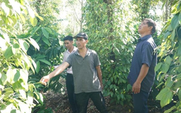Thoát nghèo nhờ 'cần câu' từ ngân hàng chính sách xã hội