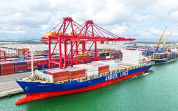 Xây dựng các 'sếu đầu đàn' Việt Nam vươn tầm quốc tế