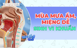 Mùa mưa ẩm: Thời điểm vi khuẩn, nấm trong miệng dễ 'bùng phát'