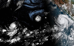 Nhiệt độ Thái Bình Dương phá kỷ lục, El Nino có thể mạnh nhất lịch sử
