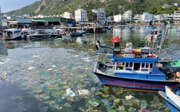 Khánh Hòa buộc chủ lồng bè không xả thải ra biển