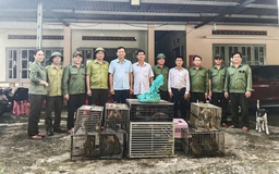 Rùa núi vàng, khỉ đuôi dài được thả về Vườn quốc gia Chư Mom Ray