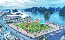 Vì sao Quảng Ninh tăng trưởng GRDP cao nhất cả nước?