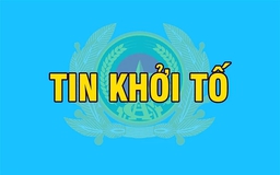 Khởi tố phó tổng giám đốc công ty vận tải biển về tội trộm cắp tài sản Khởi tố phó tổng giám đốc công ty vận tải biển về tội trộm cắp tài sản