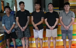 Triệt phá đường dây trộm chó liên tỉnh, thu giữ hơn 10 tấn thịt
