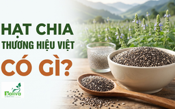 Cùng sống xanh 168: Vì sao hạt chia trồng tại Việt Nam có chất lượng top đầu thế giới?