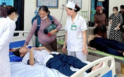 Đàn ong tấn công do bị chọc phá tổ, 27 em học sinh nhập viện