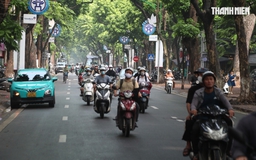 Hà Nội định hướng cây xanh đặc trưng cho tuyến phố nội đô thế nào?
