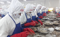 Khánh Hòa mở rộng mạng lưới an sinh xã hội
