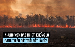 Nhiều 'cơn bão nhiệt' khổng lồ đang thiêu đốt trái đất, vì sao?
