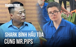 Shark Bình ngày hầu tòa cùng 'trùm' lừa đảo 1.600 tỉ Mr. Pips