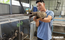 Từ lái xe thuê đến cơ ngơi nuôi chồn hương thu nhập hàng trăm triệu đồng