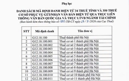 Mã định danh điện tử mới của 34 thuế tỉnh, thành phố và 350 thuế cơ sở