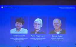 Bộ ba nhà khoa học Mỹ - Đức đoạt giải Nobel Y sinh