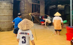Ngon như cá nước lụt Lệ Thủy