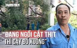 Lời kể khoảnh khắc cây lớn đổ ngang đường: 'Tôi bỏ chạy, khoảng 3 - 4 giây là cây ngã xuống'