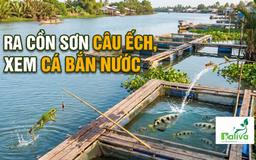 Cùng sống xanh số 169: Tạo nhiều trò chơi trên bè nuôi cá để giữ ký ức với ông bà