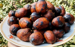 Độc đáo món cọ ỏm vùng đất Tổ