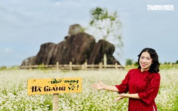 Một góc Hà Giang giữa lòng Quảng Ngãi