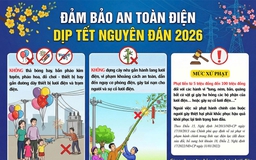 Cẩn trọng khi dựng cây nêu, trang trí đèn điện dịp tết Cẩn trọng khi dựng cây nêu, trang trí đèn điện dịp tết