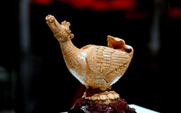 Hành trình mùa xuân theo cánh ngỗng Hamsa