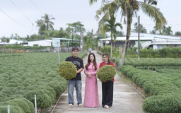 Đơn hàng cây cảnh hoa tết tăng gấp 5 lần trên sàn thương mại điện tử