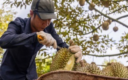 Nông sản Việt tiến thẳng vào kỷ nguyên xanh