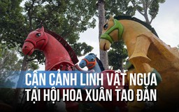 Những hình ảnh đầu tiên tại Hội hoa xuân Tao Đàn