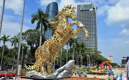 Năm Bính Ngọ, nói chuyện ngựa và việc học của học sinh