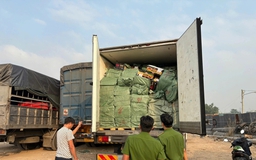 Tiêu hủy hơn 28 tấn thực phẩm bẩn không rõ nguồn gốc