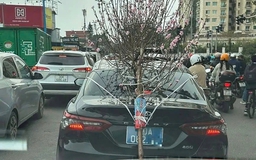 Xử lý xe biển xanh buộc cành đào che lấp biển số