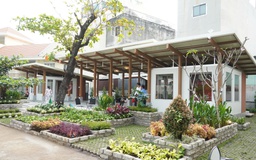 Phường An Khánh cải tạo các khu đất công trống thành công viên phục vụ người dân